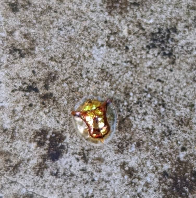 What's this? 